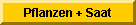 Pflanzen + Saat