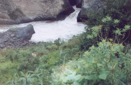 Quintas y Terrenos