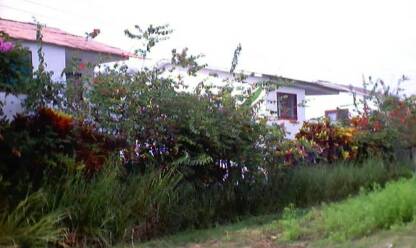 Casas Departamentos Tonsupa