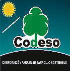 CODESO Homespage