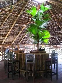 Eco- Hostal Latorre Hostería Noroccidente Pichincha Mindo