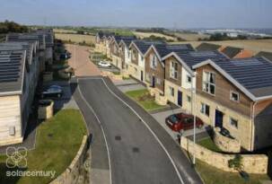 hot electrons can be transferred from photo-excited lead selenide nanocrystals